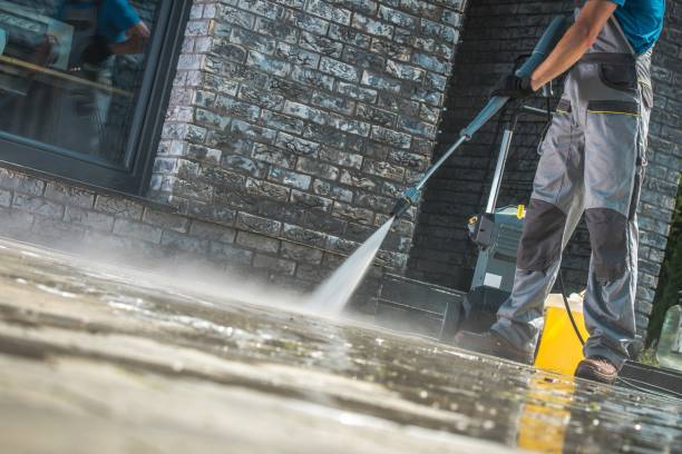 Best Fleet Vehicle Washing  in Wyandotte, MI